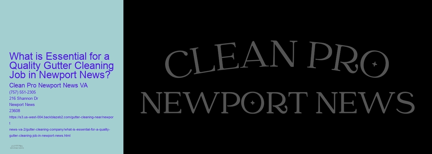 What is Essential for a Quality Gutter Cleaning Job in Newport News? 